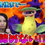 最後まで、戦い抜く!!GOバトルリーグ生配信　キャッチカップ　速成カップ【ポケモンGO】