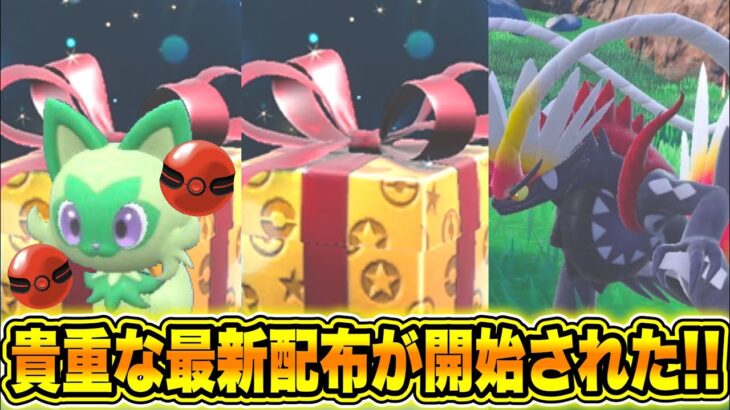 【緊急速報】公式から新たに貴重なポケモンが最新配布が開始された！超急いで受け取れ！！コライドンとミライドンとニャオハなどの御三家の色違いについて！【ポケモンSV/スカーレット/バイオレット/GO】