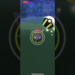 ポケモンgo 野生のゾロアゲットチャレンジ　相棒をゾロアにしてみたらどうなるのか？