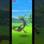 #shorts #レックウザ　#色違いレックウザ　#ポケモンgo