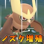 【生配信】ヨルノズクが強すぎて環境に増えすぎ問題！ #1037【ポケモンGO】