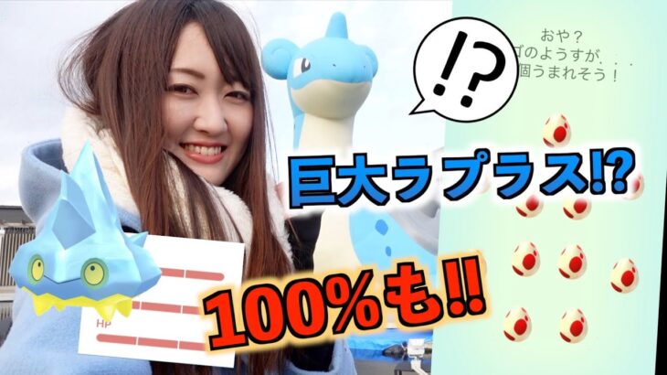 12タマ12連割り!! 100％●体降臨!! 【ポケモンGO】