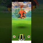 【ポケモンGO】ガラルサンダーに出会いました！