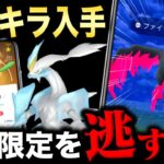 【ついに解禁】特別わざ習得＆確定キラポケモン増加！激レアガラルのチャンスアップ！？最新情報まとめ【ポケモンGO】