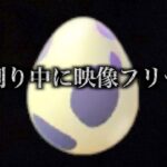いよいよ冬編突入！１０キロ卵２４連でまさかのアクシデントが…【ポケモンGO】