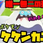 【ポケモンGO】唯一無二の強さ！新実装ポケモンケケンカニの強さは！？【スーパーリーグ】