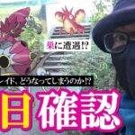 【ポケモンGO】何かが違う…？12月エピックレイド＆ケルディオのスペリサ前日確認！冒険中にヘイガニの巣らしきものを見つけて緊急調査が発動スペシャル！【フーパかそれ以外か】