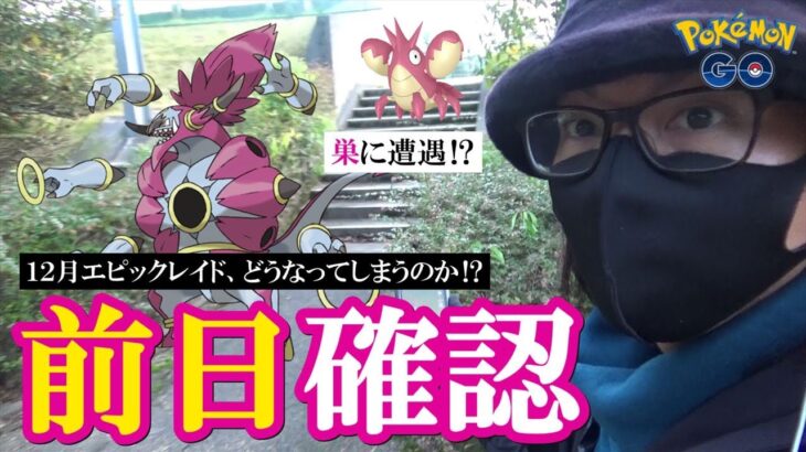 【ポケモンGO】何かが違う…？12月エピックレイド＆ケルディオのスペリサ前日確認！冒険中にヘイガニの巣らしきものを見つけて緊急調査が発動スペシャル！【フーパかそれ以外か】