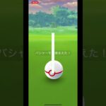 【ポケモンGO】ホウエンメガレイド！【PokemonGO】 #shorts #pokemon #pokemongo #ポケモン #ポケモンgo