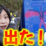 また私じゃない‼ガラルファイヤー出た‼in愛知県:ポケモンgoおさんぽおこう30分