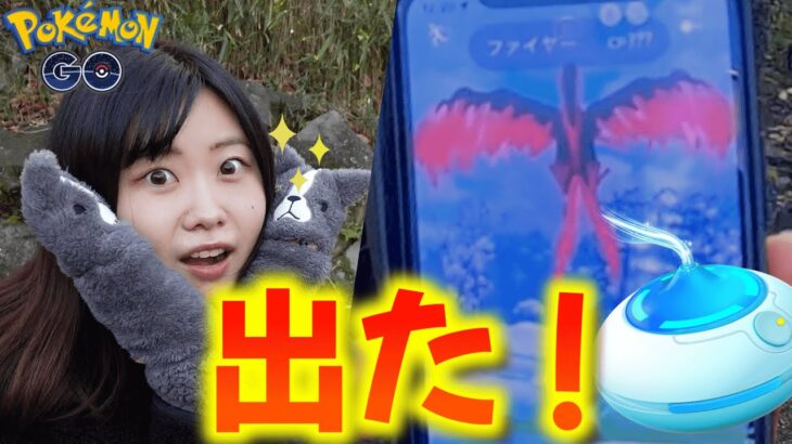 また私じゃない‼ガラルファイヤー出た‼in愛知県:ポケモンgoおさんぽおこう30分