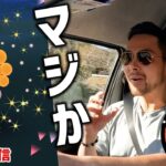 色違い太陽ポワルンとデカい演出ゲットしたんだけど…ちょい話そう！ナイアン有難う！旅が…旅が…！！！