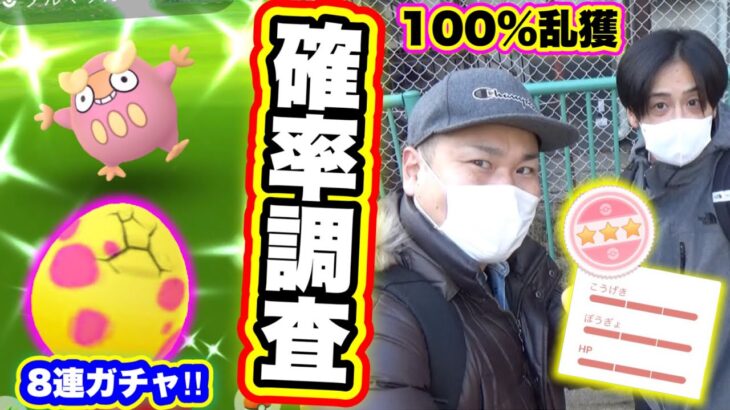 個体値100％の確変！？ダルマッカ出現率調査ロケ！【ポケモンGO】