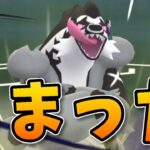 【生配信】タチフサグマ入りパーティでホリデーカップに挑む！ #1058【ポケモンGO】