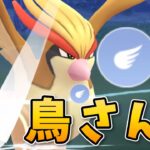 【生配信】ピジョット入りパーティで久しぶりにスーパーリーグ潜る！ #1084【ポケモンGO】