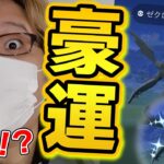 このゼクロム個体値が!?!?!?!?ヤバいやつに出会ってしまった!!!!!!!【ポケモンGO】