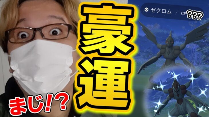 このゼクロム個体値が!?!?!?!?ヤバいやつに出会ってしまった!!!!!!!【ポケモンGO】