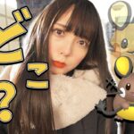 え？どこにいるの？色違いデデンネさん？【ポケモンGO】