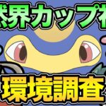 自然界カップ開幕！環境はどんな感じ？【 ポケモンGO 】【 GOバトルリーグ 】【 GBL 】【 自然界カップ 】