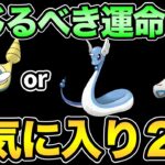 信じるべきはノコッチ？ハクリュー？両方？【 ポケモンGO 】【 GOバトルリーグ 】【 GBL 】【 自然界カップ 】