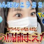 【２２日目】おさんぽおこうで金の鳥を捕まえた巻！金運ＵＰ間違えなし！お正月 ポケモンGO  포켓몬 고 pokemon go japan