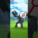 ポケモンGOゼクロムレイドバトル2023/01/17その1