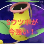 【ポケモンGO】頑張ってレート上げる！R3003～【Sウツボット、Sグランブル、トリデプス】