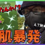 【ポケモンGO】おいおいマジかよ！？ヨーギラスの復刻コミュデイで再び大事件発生！リアルRPG系男子が聞き取り調査に乗り出して「いわはだ」ポケモンを解明していくスペシャル！【劇場チケットの闇】