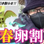 【ポケモンGO】新年初笑いor初驚き！？色違えパーティトップハットピカチュウ！とんがり帽子勢は野生でも出現？2023年を占う新春10タマ＆12タマおみくじ割りスペシャル！【お正月イベント開幕】