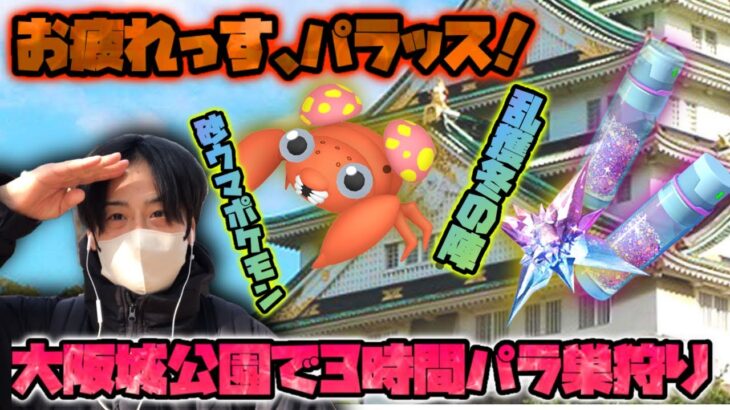 大阪城公園が砂うまポケモンのパラスの巣に！３時間乱獲で大量のほしのすなゲットや！