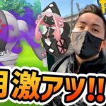 2月のポケモンGOがヤバイ！新シャドウ達実装！メガサーナイト実装予定！色違いカプテテフも来る！？ホウエンツアーに向けてシャドウ厳選だ！【ポケモンGO】