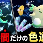 今年はヤバい！史上最大ボーナスと３時間だけの色違い確率アップ！今からやるべきバレンタインイベントの注意点＆ポイントまとめ【ポケモンGO】