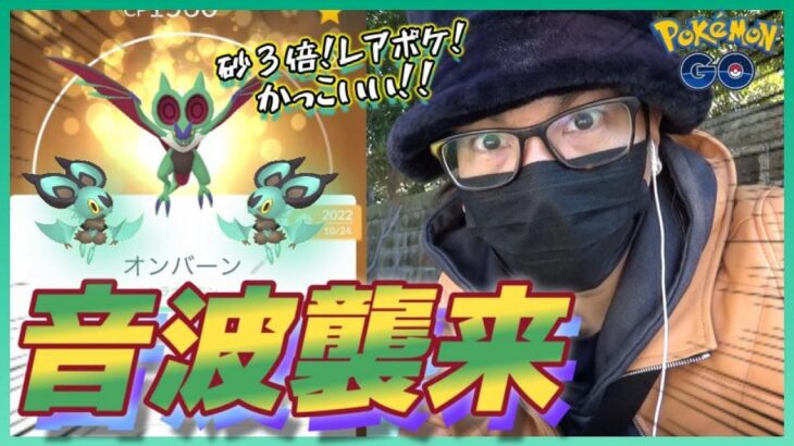 【ポケモンGO】超絶激レア出現！オンバットのコミュデイで奇跡が起きた！おんぱポケモンを解明しながらすな３倍ガッポリガッポリ稼ぎ散らす冬の大冒険スペシャル！【お土産コーナー】