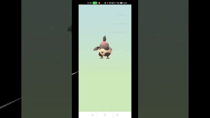 ポケモンGO最近ヤトウモリの確率ちょっとだけアップしてる??３連＋αガチャ #shorts