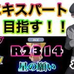 【ポケモンGO】エキスパート目指す！！『Ｒ2314』＃13　ラブラブカップ　星の願い