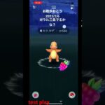 Pokémon Go お散歩おこう【ポケモンGO】