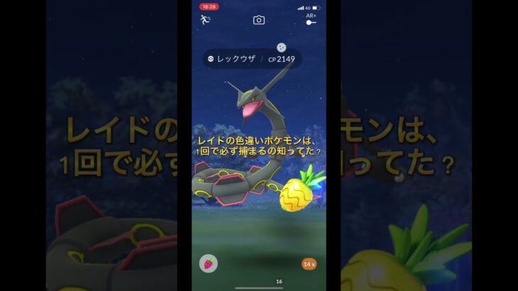 【PokemonGO】レックウザレイドアワー&メガラティ&神イベスタート！【ポケモンGOフレンド募集中】 #pokemon #pokemongo #ポケモン #ポケモンgo #shorts