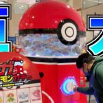 ポケモンをゲットできる超巨大なガチャを回してSS狙ってみた！！www【メザスタ】