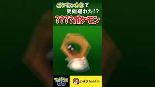 はぁ！？！？！？！？#ポケモンgo  #shorts