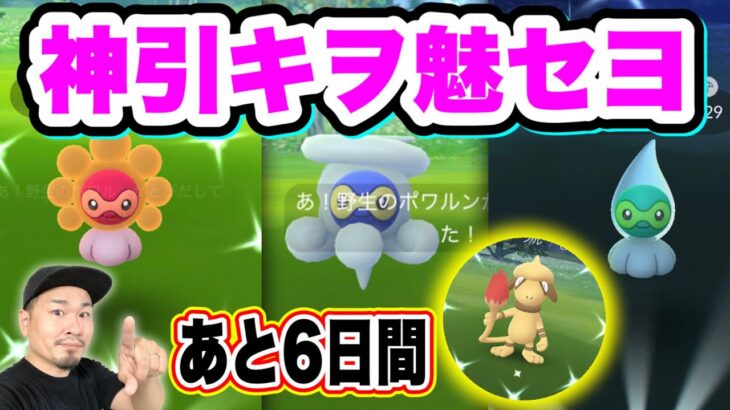 確率400分の1なの？！ポワルン色違いとドーブル色違い【ポケモンGO】