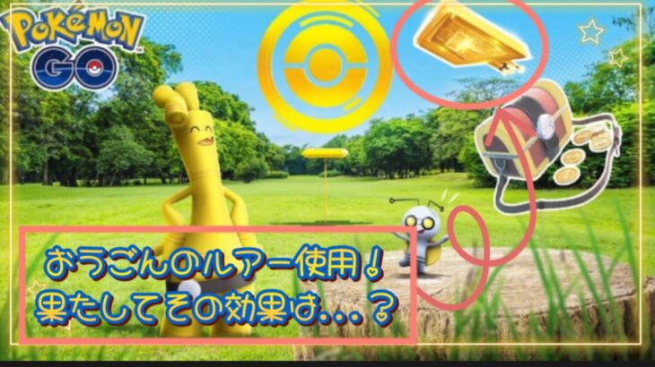 ポケモンGO おうごんのルアー 使用！ ポケモンSV 連動？５日目のボーナス★ コレクレーのコインは何枚集まるのか？