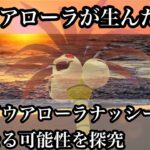 【ポケモンGO】GBL ハイパーリーグ〈シャドウアローラナッシー〉アローラの希望　草・ドラゴンタイプの面白い組み合わせと圧倒的存在感でハイパーリーグに常夏の風が吹き荒れる