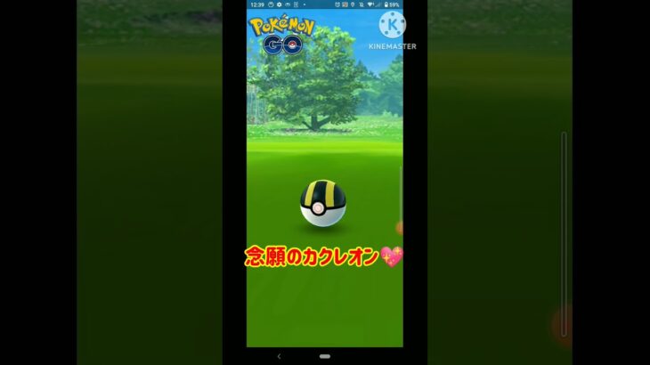 念願のカクレオンやっとゲット!!ヽ(=´▽`=)ﾉ【ポケモンGO】#shorts