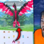 Galarian Moltres Finally Caught! Festival of Colors Shiny Catches! (Pokemon GO)