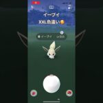 #ポケモンgo  XXLイーブイ色違い！🥰