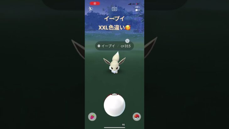 #ポケモンgo  XXLイーブイ色違い！🥰