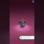 ちっちゃいシリーズ        一瞬の期待 後編 #ポケモンgo #shorts