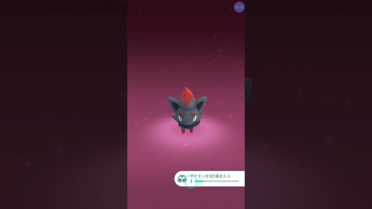 ちっちゃいシリーズ        一瞬の期待 後編 #ポケモンgo #shorts