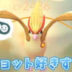 【生配信】リーグ切り替え最終日！ピジョット！ #1159【ポケモンGO】