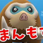 【生配信】コミュデイお疲れ様！げんちか型じゃないけどマンムー使います！ #1165【ポケモンGO】